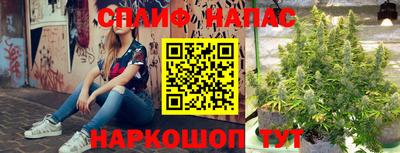 apvp Кинель