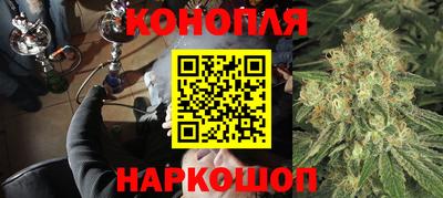 эйфоретик Кингисепп