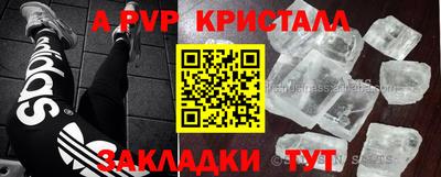 эйфоретик Кингисепп