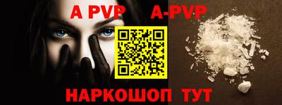 эйфоретик Кингисепп