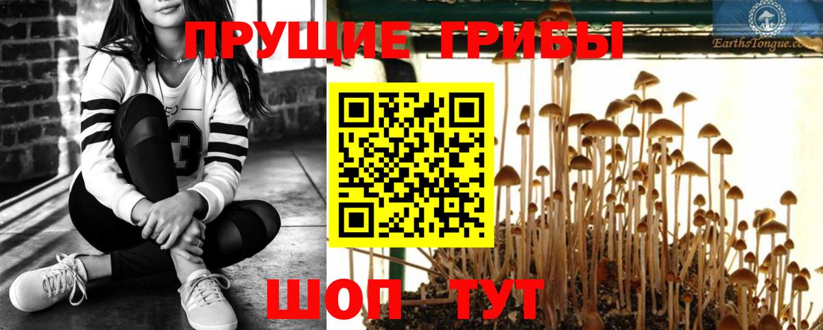 Галлюциногенные грибы мухоморы  Псилоцибиновые грибы GOLDEN TEACHER  Куйбышев  Вход с VPN 